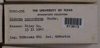 Image Associated With the Occurence